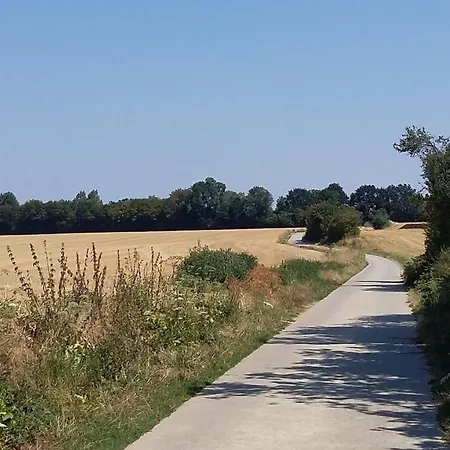 Au Fil Des