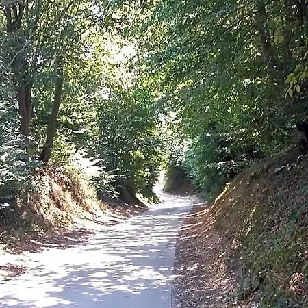 Au Fil Des 3*