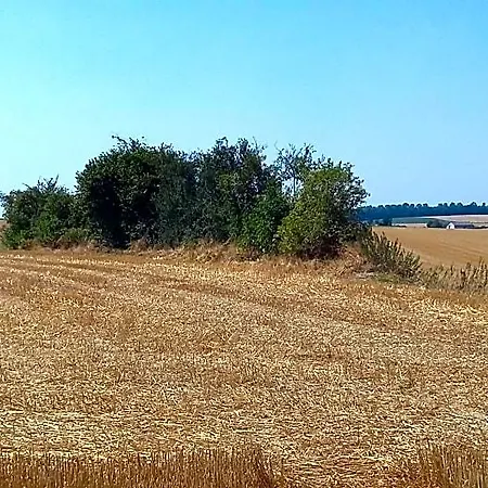 Au Fil Des